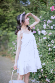 唐砖在线观看免费完整版
